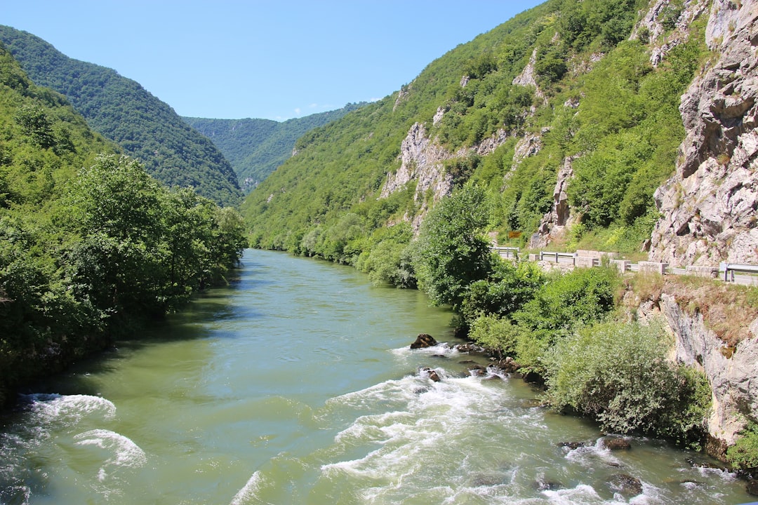 Бяла вода и диви скали: Гоненето на Дрината през каньона на река Тара