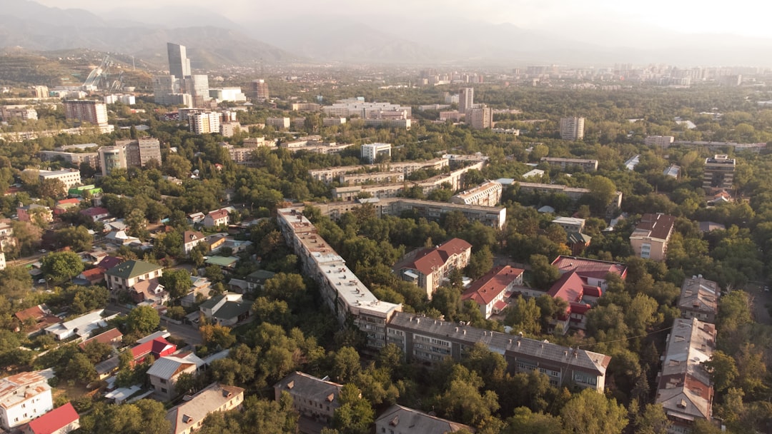 Драгана Мирковиќ: Вечното наследство на балканската дива и нејзината актуелност во медиумите